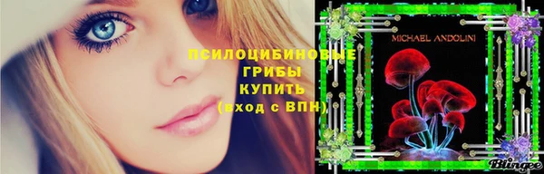 прущая мука Алексин