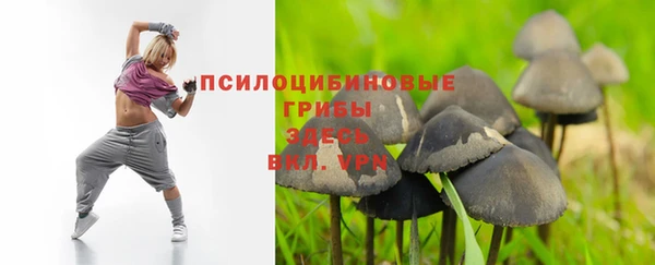 тгк Абинск