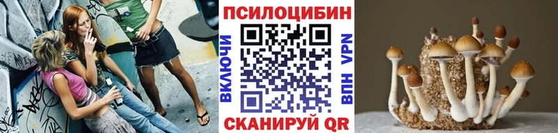 Галлюциногенные грибы Psilocybe Ялта